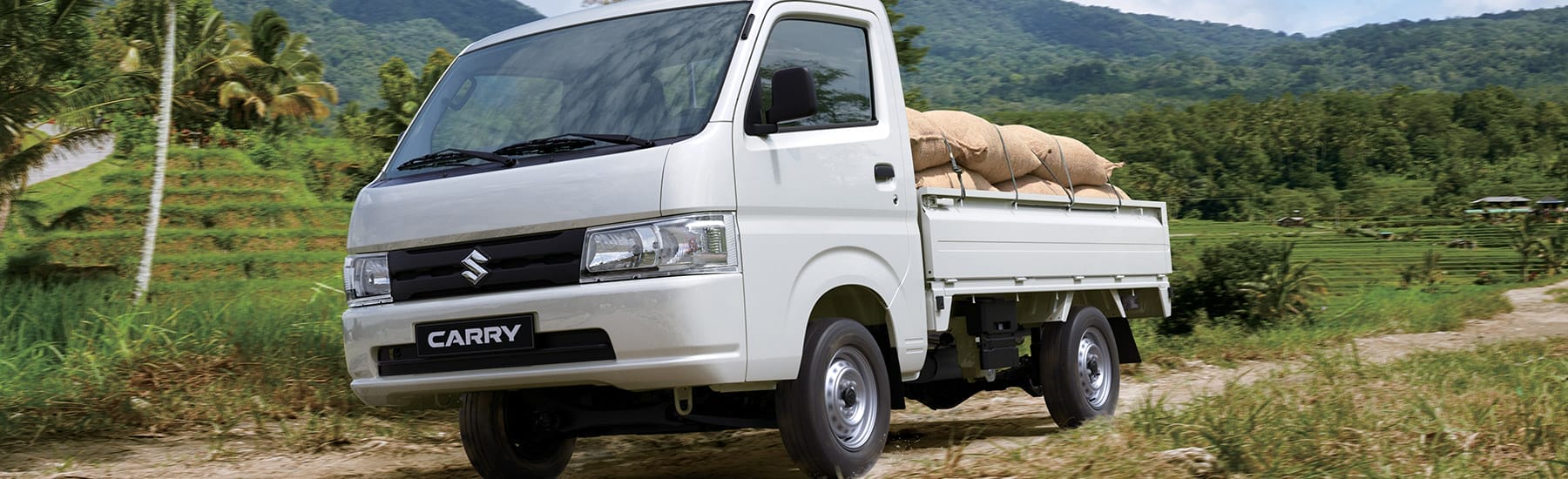 Carry,Camión Carry,Suzuki carry
