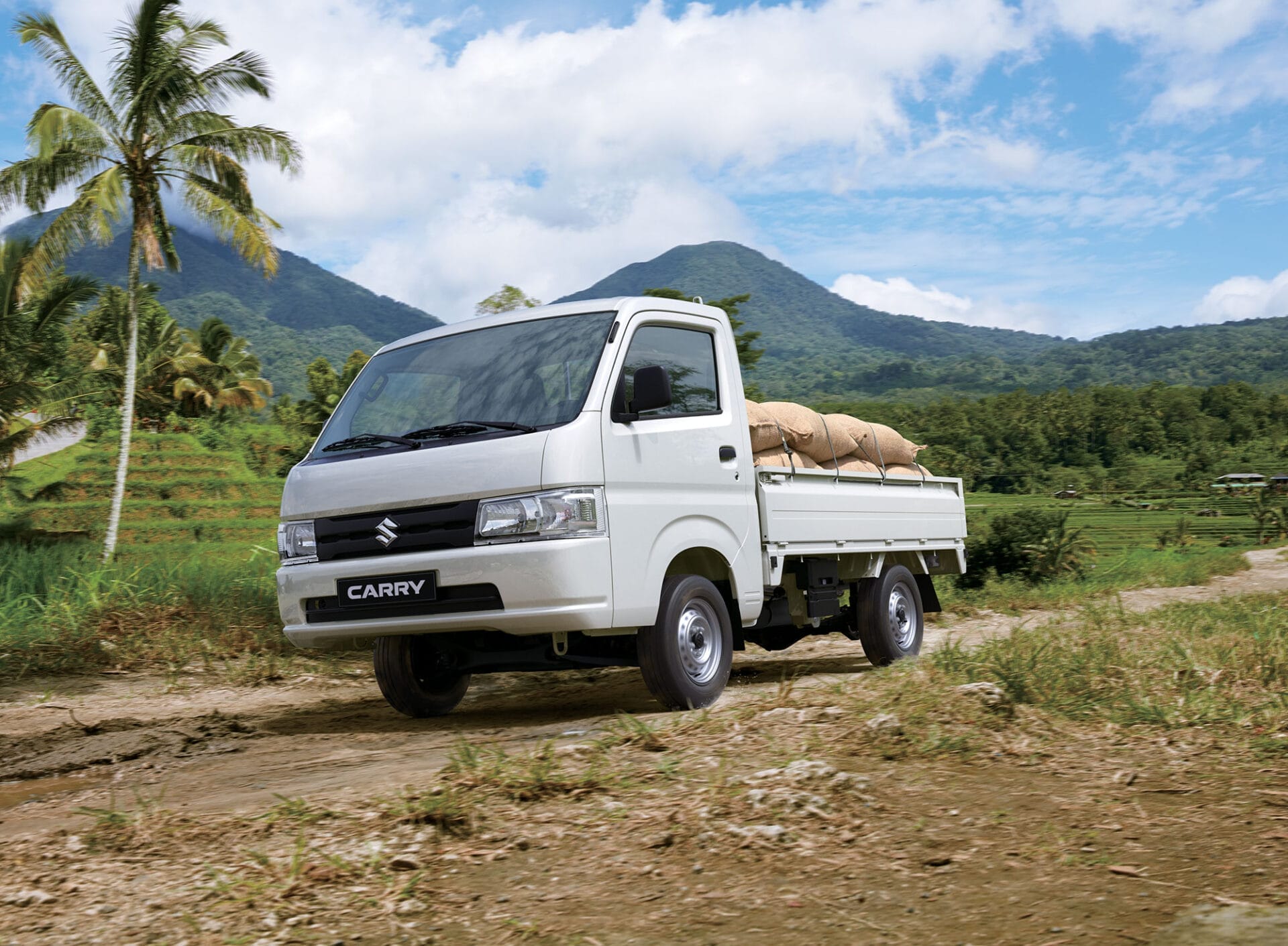 Carry,Camión Carry,Suzuki carry